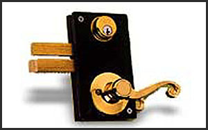 500 Series -MUL-T-LOCK - NJLocksmith247.com